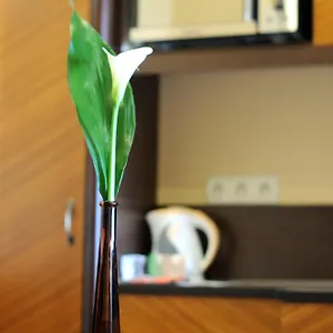 **** Hotel Baron Hungary